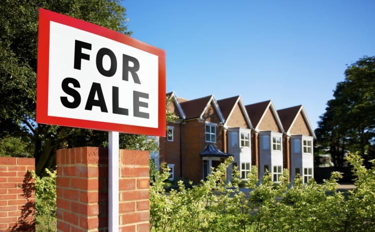 Real Estate Agent