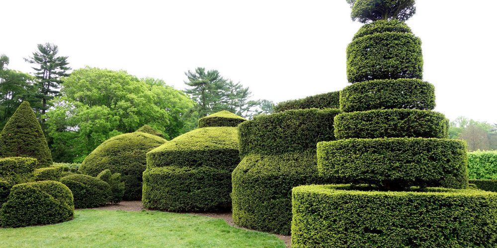 Beauty to Your Garden